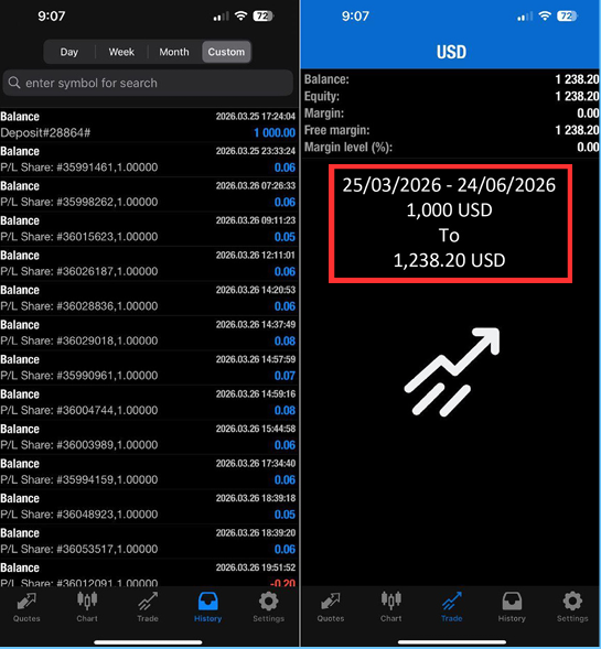 Account statement showing $1,000 growing to $1,238.20
